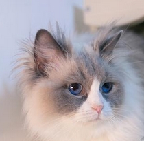 1748329731253675.png 微信截图_20250522170609.png