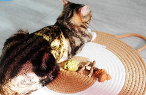 1771987365352470.png image.png