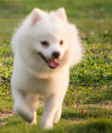 1772083740986895.png image.png