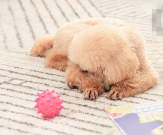 1772181755802737.png image.png