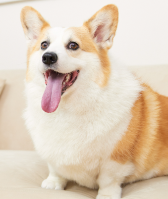 1772677331828263.png image.png