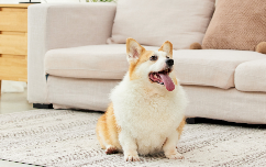 1773197795695565.png image.png