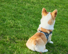 1773625823433904.png image.png