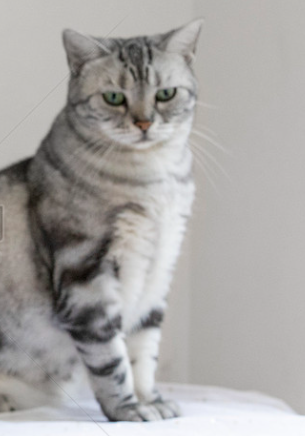 1774493863675539.png image.png