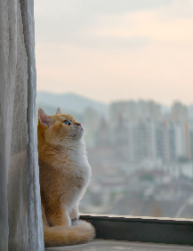 1774676843256195.png image.png