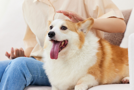 1775314647898680.png image.png