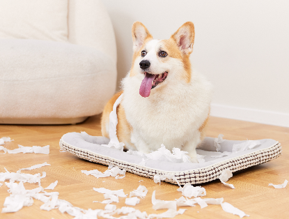 1775366685484156.png image.png