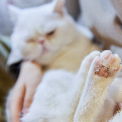 1775456557811606.png image.png