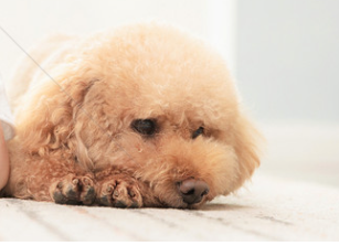 1775619446224680.png image.png