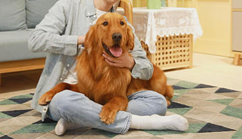 1775700636110867.png image.png