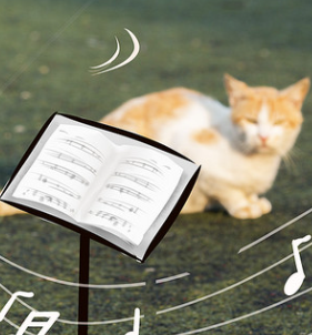 1775701069233970.png image.png