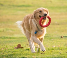 1775787678167074.png image.png