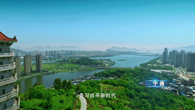 5.gif