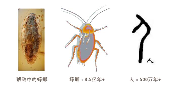2d38f0a1dab91211e680aeb9f8cccef5.jpg