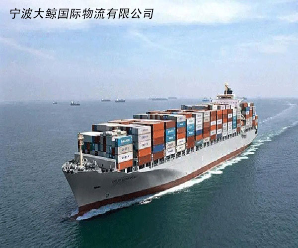 宁波国际海运货运物流