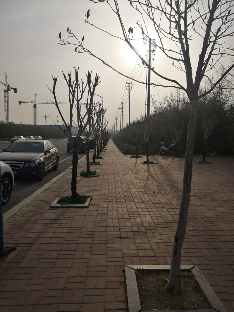 �������Ͻ�����ɵ�·��ש�����ֳ�����ͼ