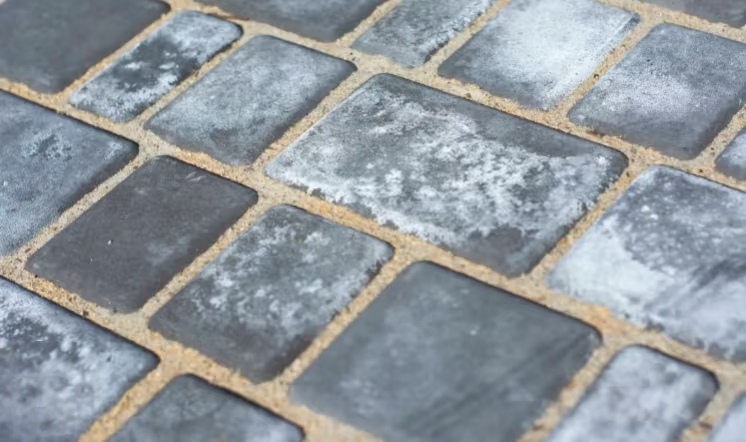 ·��ש���跴������ʾ��ͼ