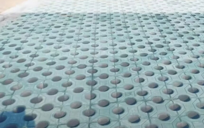 Բ��ֲ��ש��Ʒչʾͼ��������԰���̻�