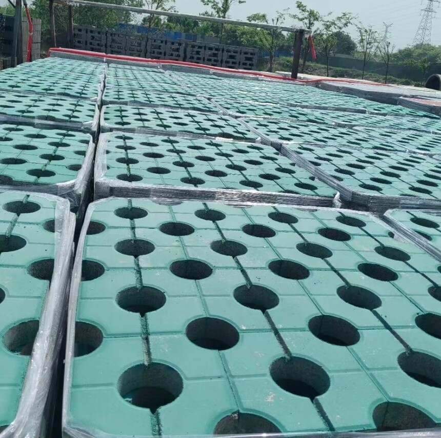 Բ��ֲ��ש��Ʒչʾͼ