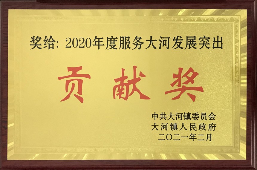 2020年度服务大河发展突出贡献奖