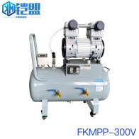 FKMPP-300V