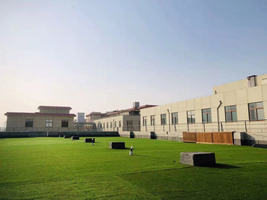 1613628659507846.jpg 6.jpg