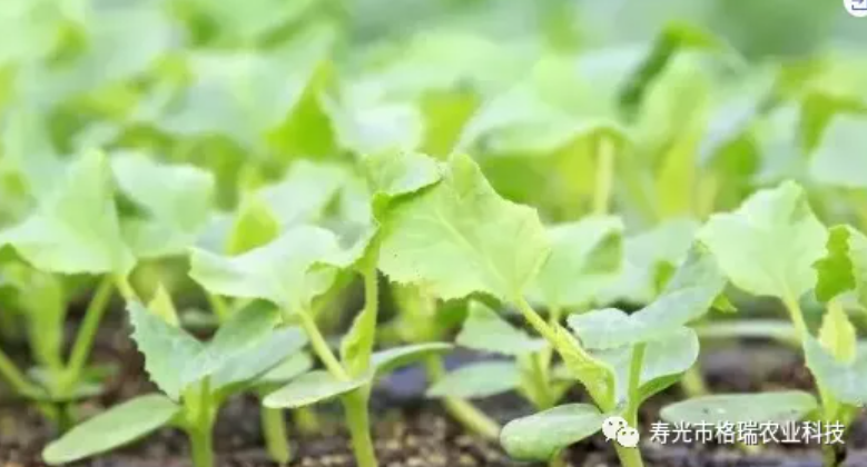 微信图片_20210902082619.png