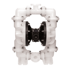 S20-.png
