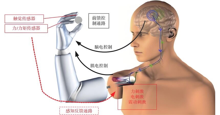 15a2cf36-1ba3-47b1-88c1-509a8d1fed99.jpg