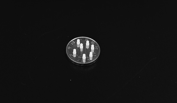 1513149227838350.jpg