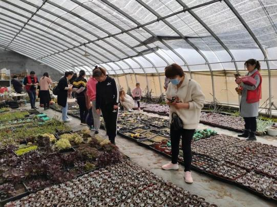1649726761767383.png