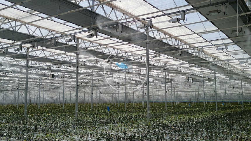 甘肃兰州新区农投花卉产业基地喷雾降温加湿项目3号棚（4）.JPG