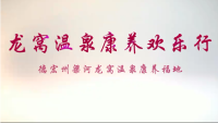 我们一群曾在德宏州盈江县插队的老知青