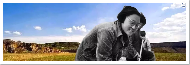 ͣϲ 4.png