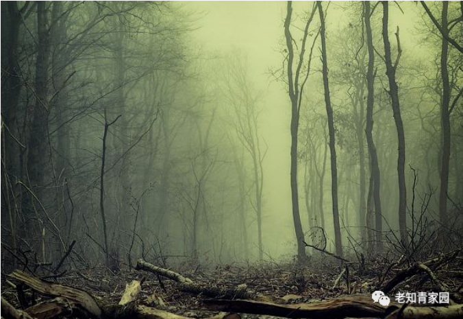 360ͼ20201128123932759.png