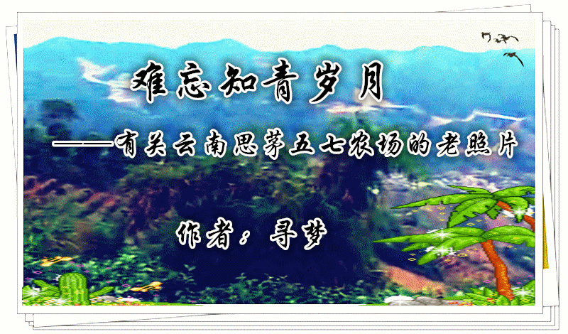 ΢ͼƬ_20211110211255.gif
