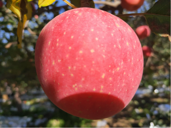 1730099243832155.png bb55671335edbd86458fe00a5fea3cd.png