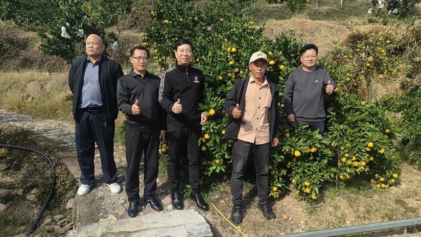 1762682173585342.jpg 橘子5.jpg