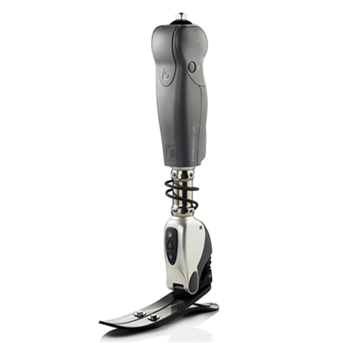 symbionicleg3.png