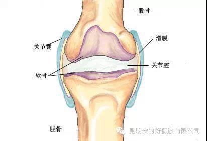 ΢ňDƬ_20201231163438.jpg