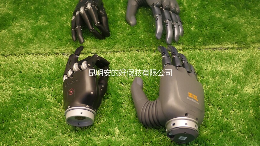 1764833763370895.jpg P8160782.JPG