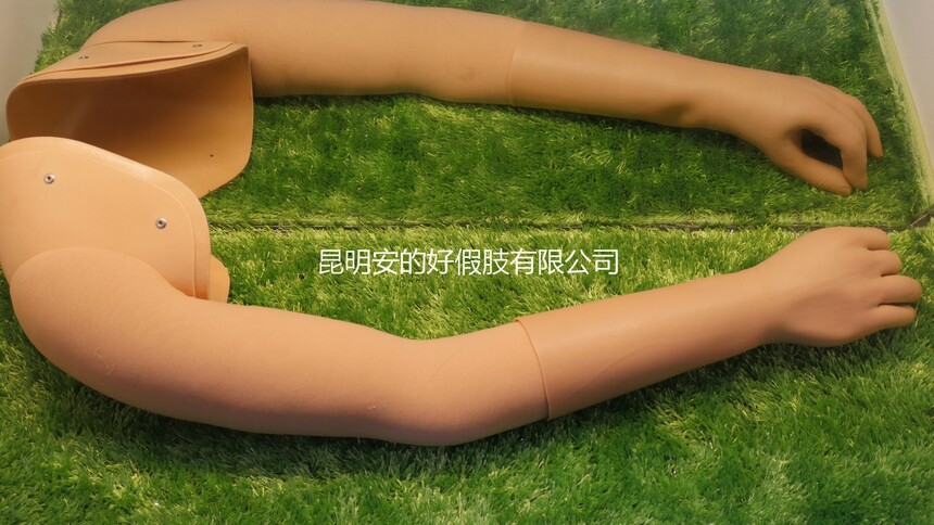 1765957713773479.jpg P8160835.JPG