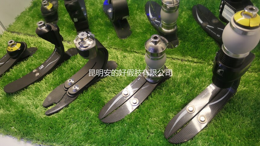 1772692944820918.jpg P8160652.JPG