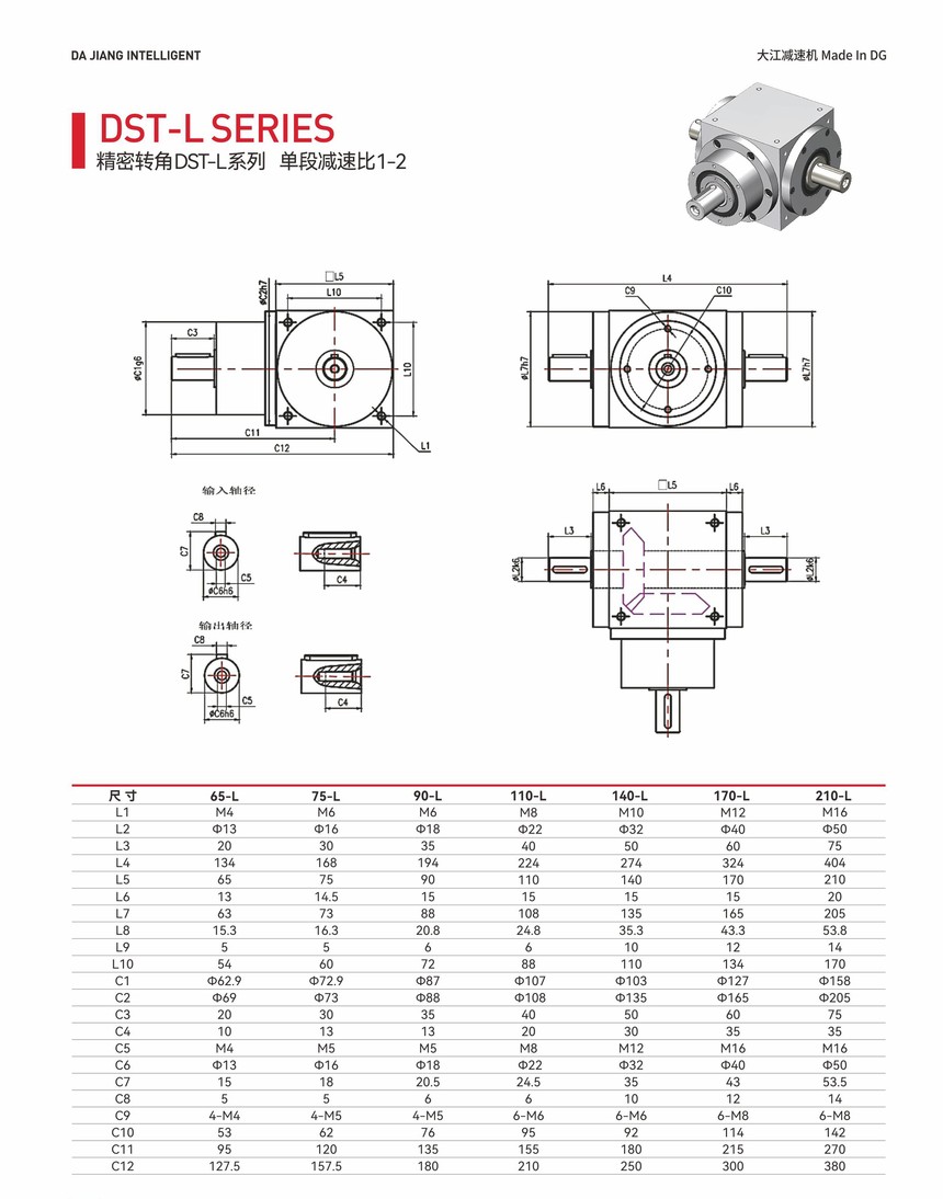 DST-L1.jpg