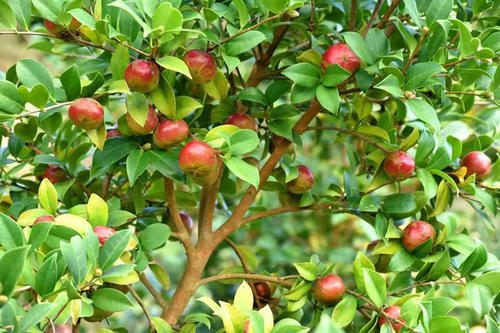 1607139391870377.jpg u=3577536709,3498598443&fm=26&gp=0.jpg