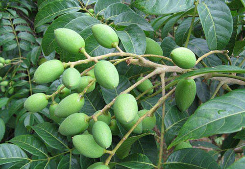 1607140235313907.jpg u=3449444994,3219676801&fm=26&gp=0.jpg