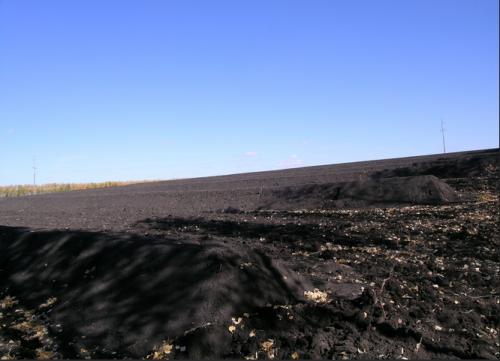 1607150214776730.jpg d.jpg