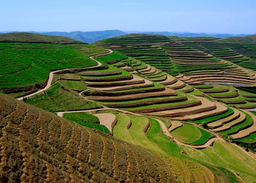 1607159116731669.jpg timg.jpg