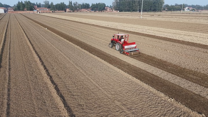 1764221998384014.jpg 11.jpg