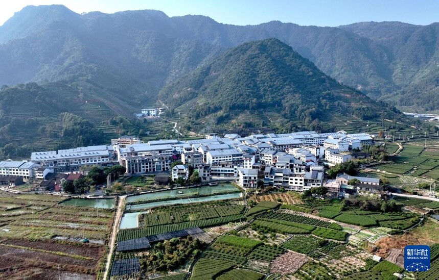 1764810038361266.jpg 1.jpg